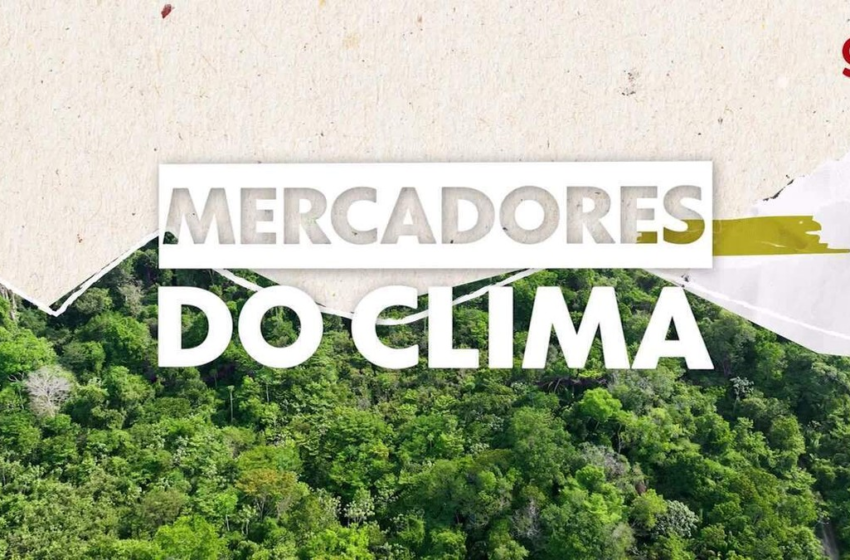  Fraude na Amazônia: empresas usam terras públicas como se fossem particulares para vender créditos de carbono a gigantes multinacionais – G1
