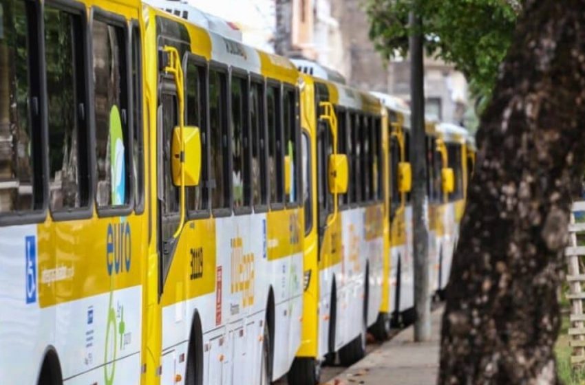  Greve unificada: Ônibus e BRT de Salvador, RMS, intermunicipal e urbano de Feira devem ser afetados; confira – Bahia Notícias